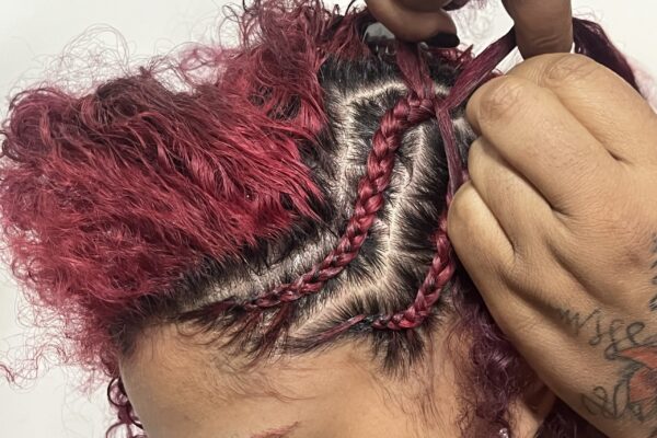 IMG_4715 Sandra Lima de Santo André SP Docente Especialista em Tranças